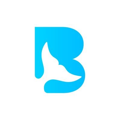 Whalebe - 不仅仅是 NFT 系列