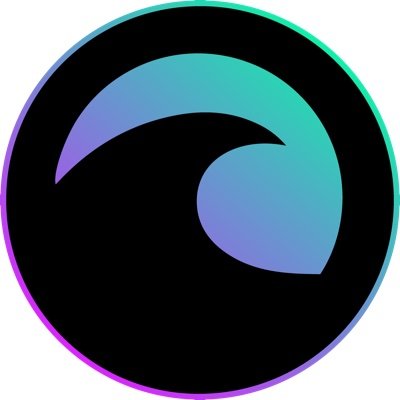 Surf 投资管理工具