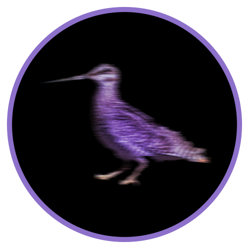 Solit (SLT) 迷因币