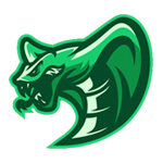 SolSnake (迷因代币)