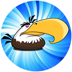 Solana Bird (关注鸟类保护的代币)