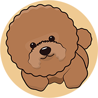 TOYPOODLECOIN (迷因币项目)